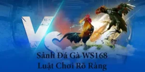 Nắm Trọn Cách Chơi Đá Gà WS168 Tại BK8 Chuẩn Sách Giáo Khoa