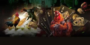 Hướng Dẫn Cách Chơi Đá Gà GA28 Tại BK8 Cho Người Mới Bắt Đầu